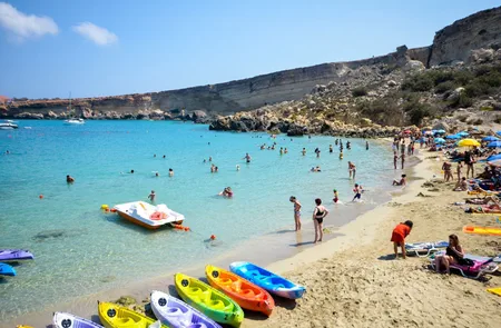 paradisebay