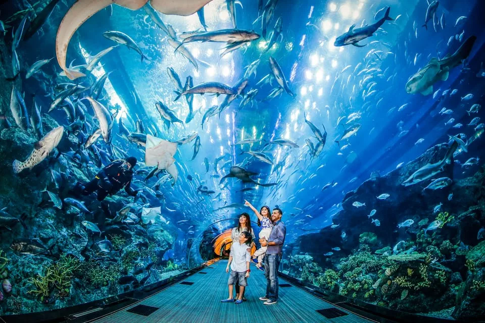 aquarium dubai