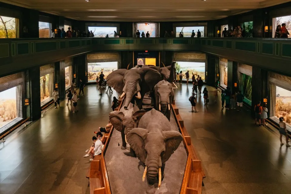 billet musée histoire naturelle