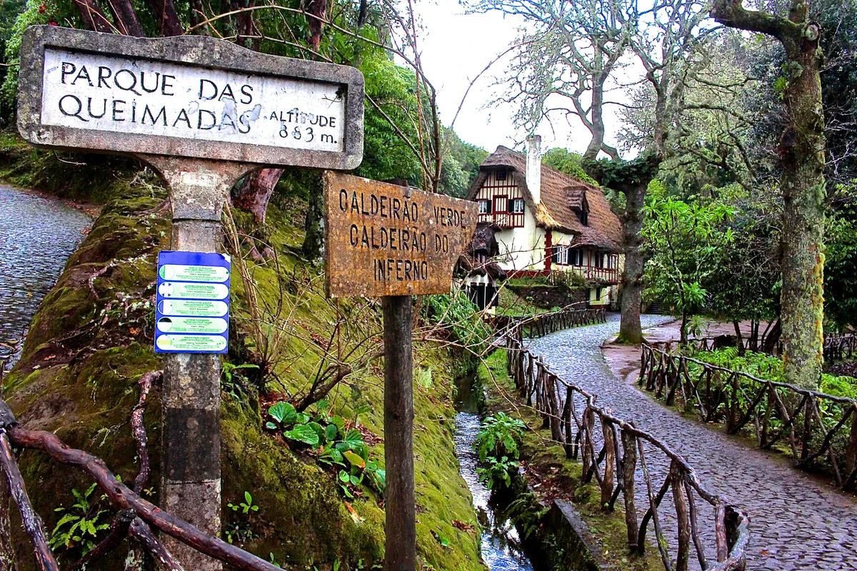 quaimadas madeira