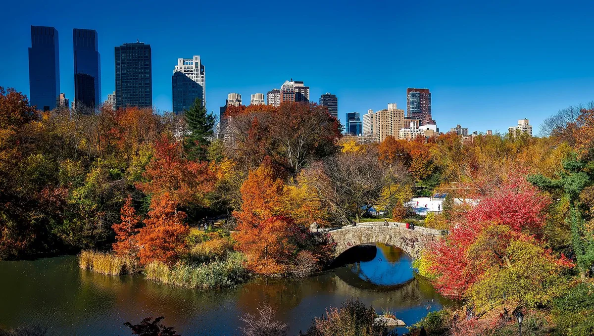 new york central park