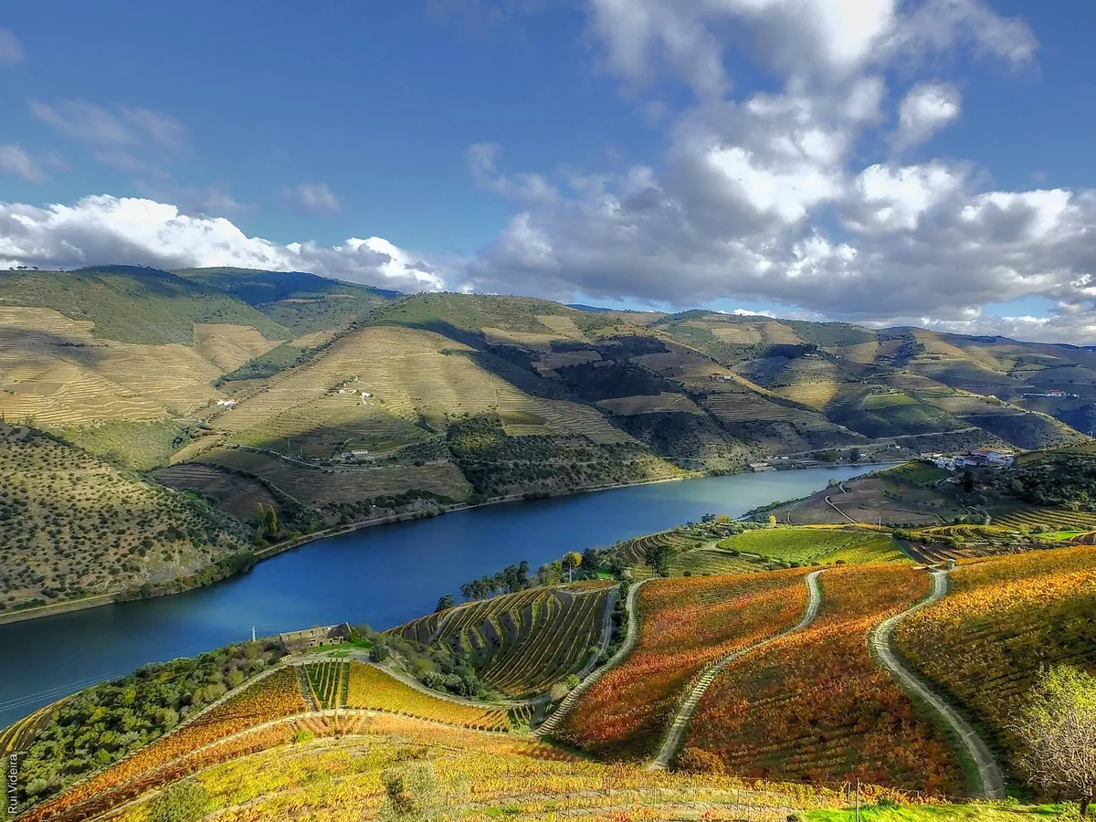 porto vallée du douro