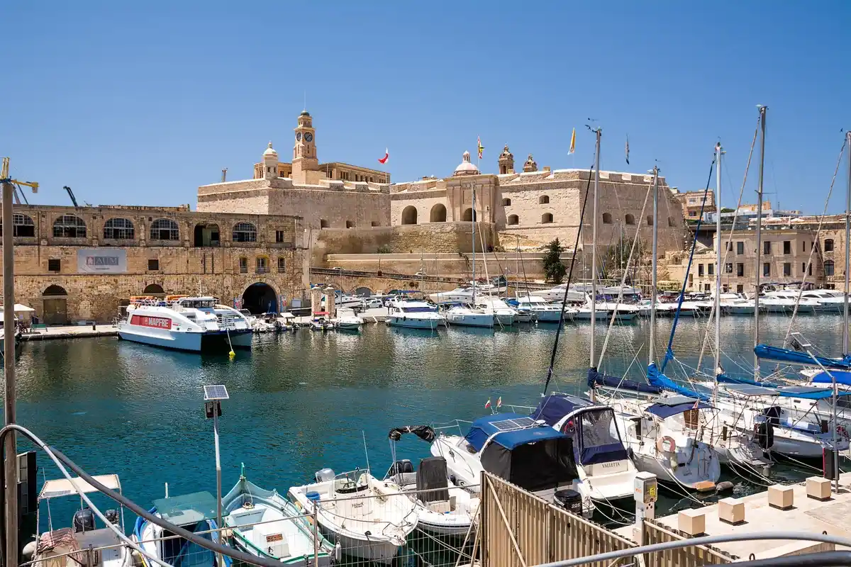 cospicua (1)