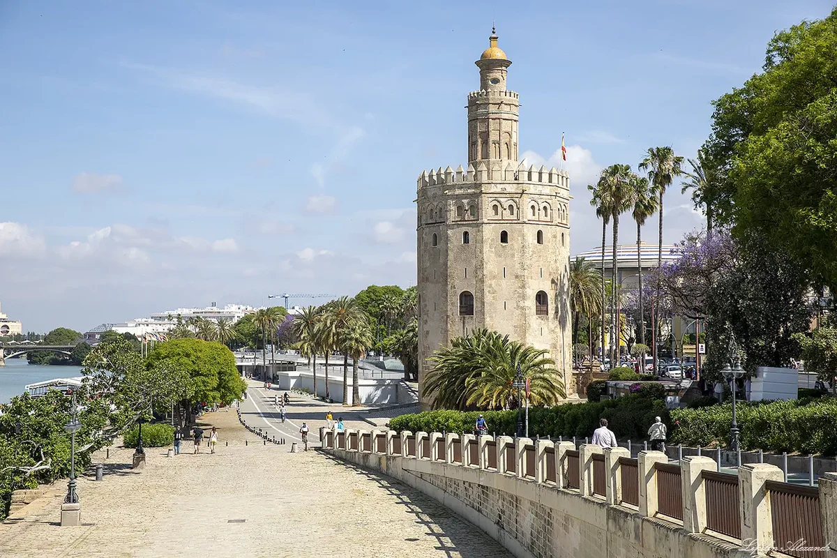 torre del oro