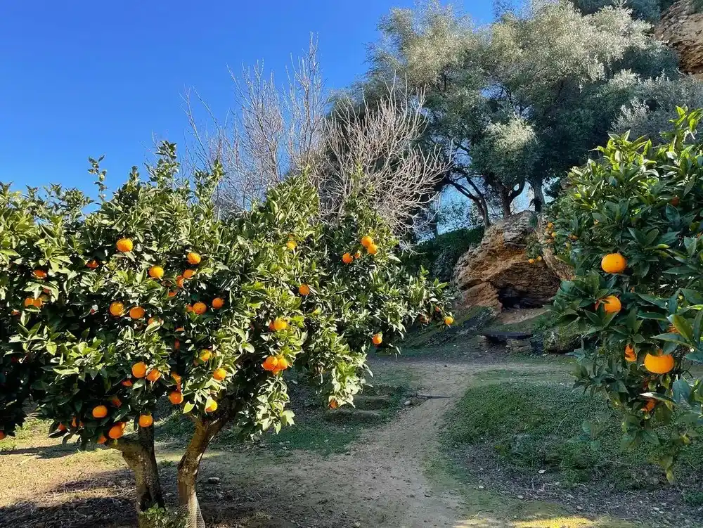 agrigente jardin de kolymbetra