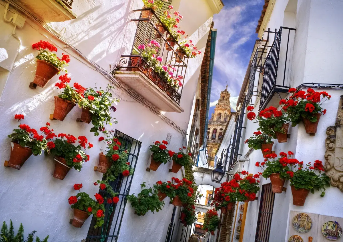 calleja de las flores