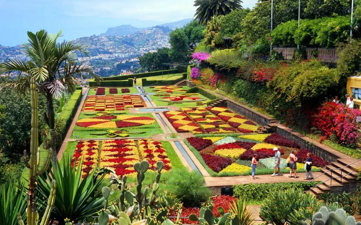 jardin botanique de madere