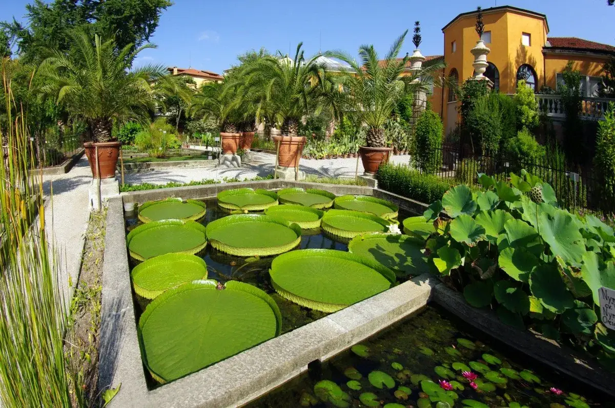 jardin botanique padoue