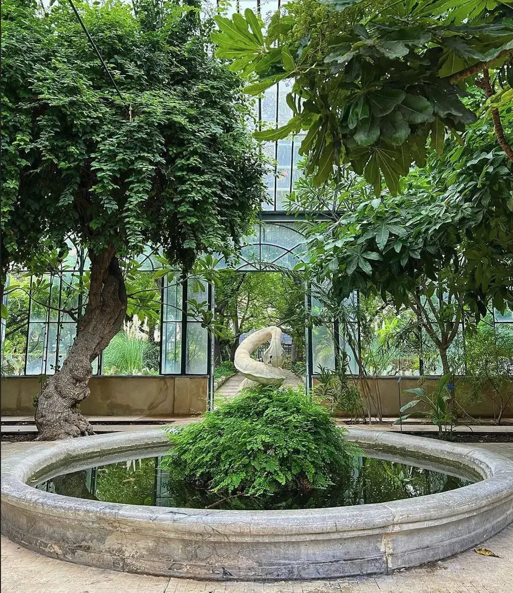 le jardin botanique de palerme