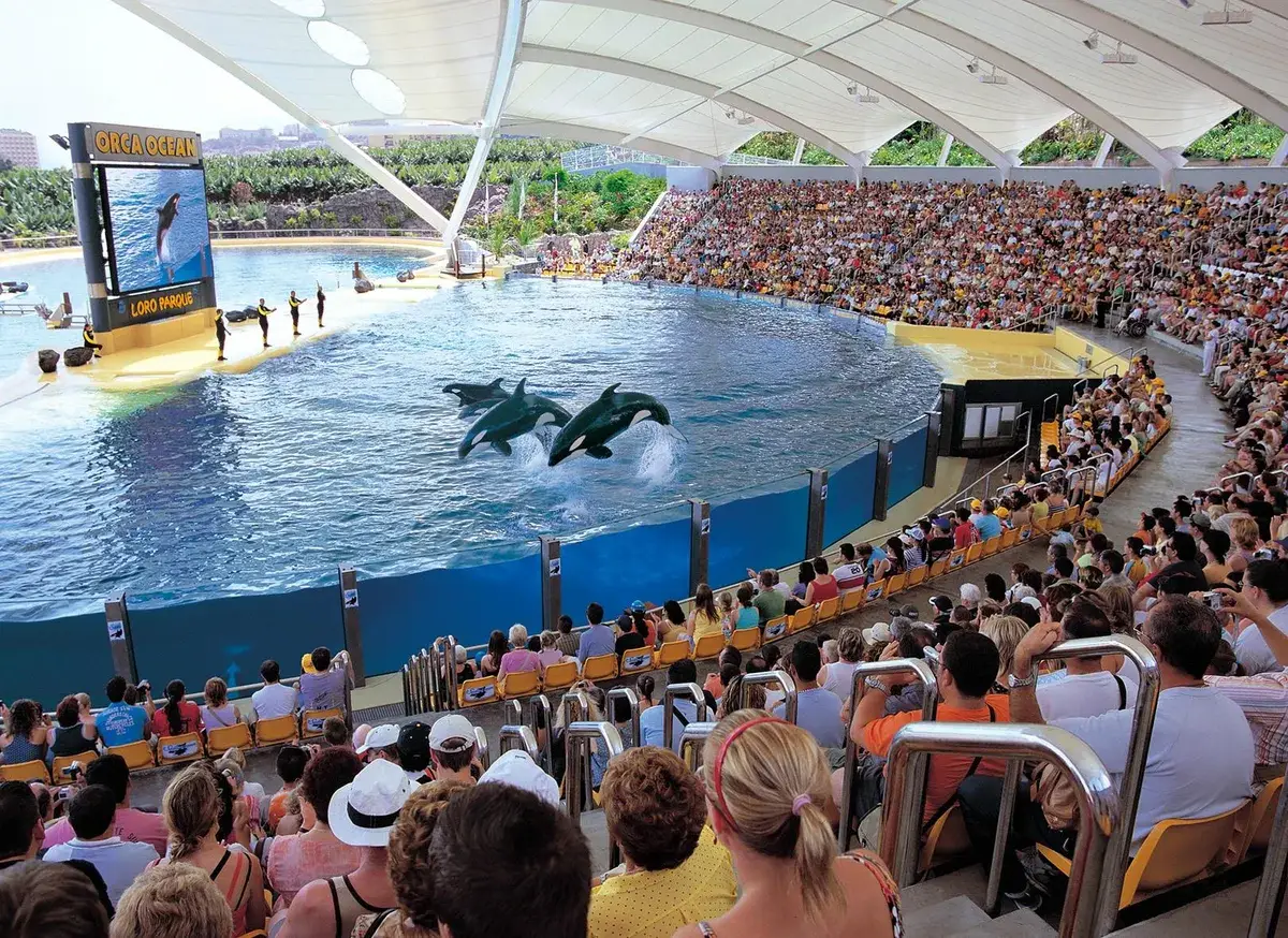 loro parque tenerife