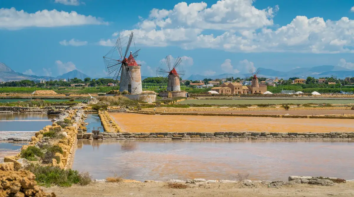 marsala