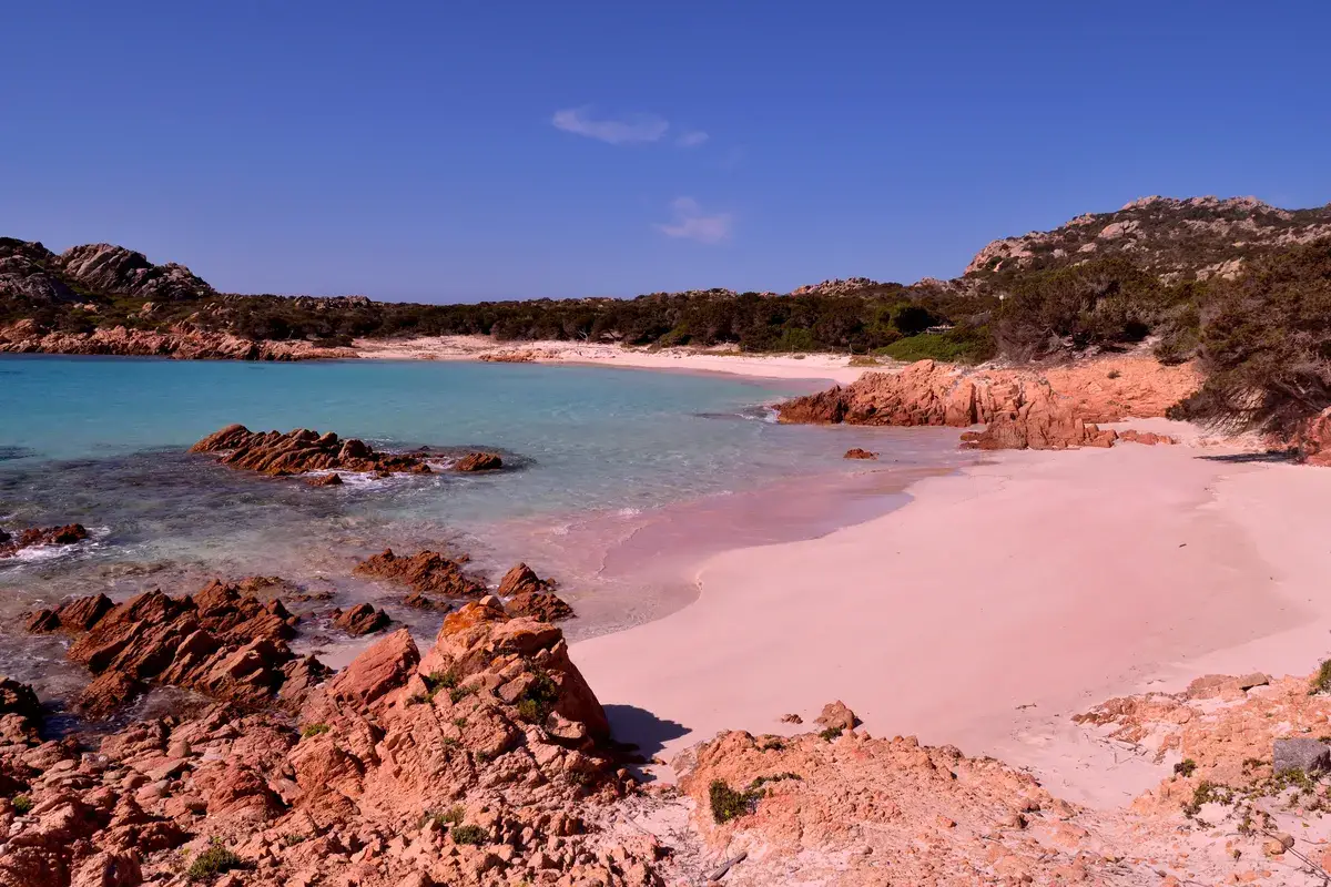 plage rose sardaigne 77