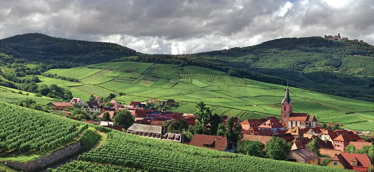 route vins alsace