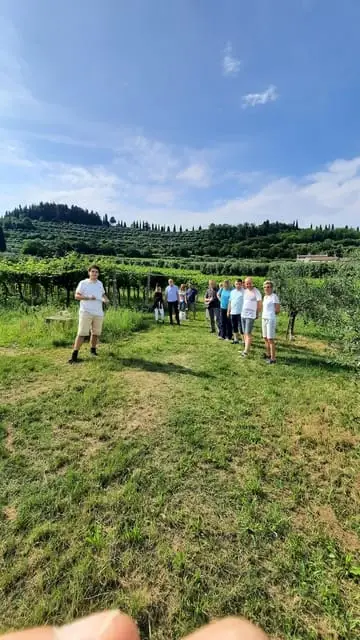 visite vignoble