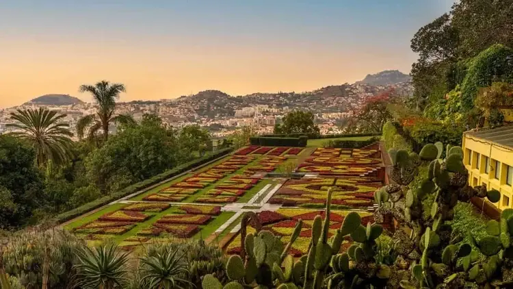 visite jardin botanique madere