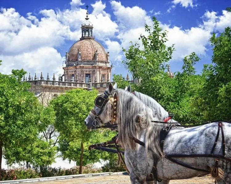 visite guidee jerez