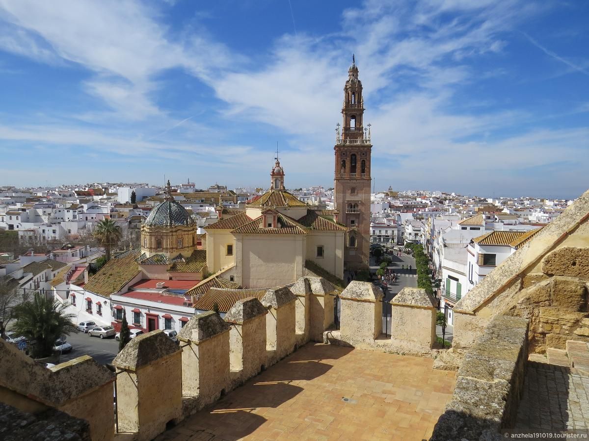 carmona