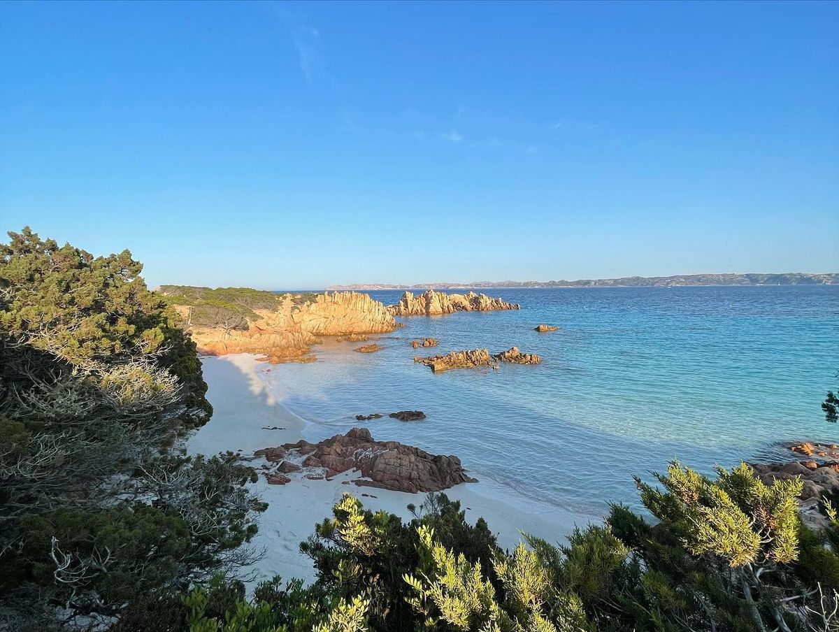 ile budelli