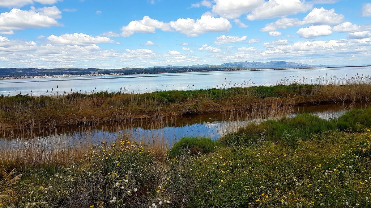 delta ebre