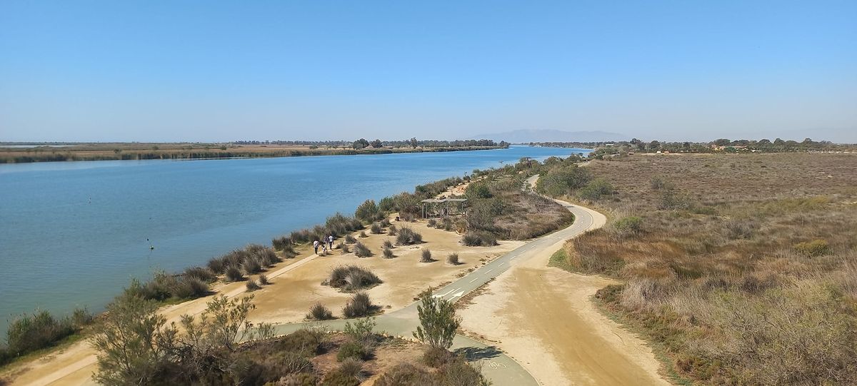 embouchure delta ebre