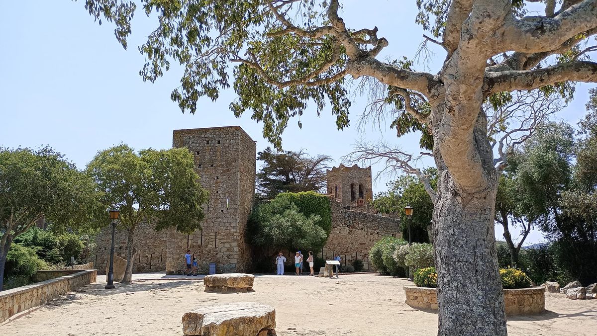 mirador