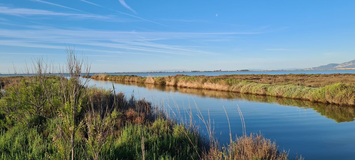 observation delta ebre