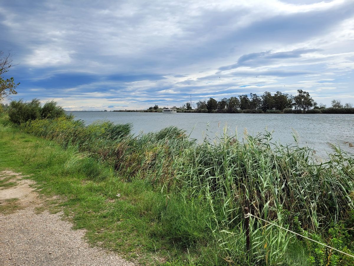 velo delta ebre 2