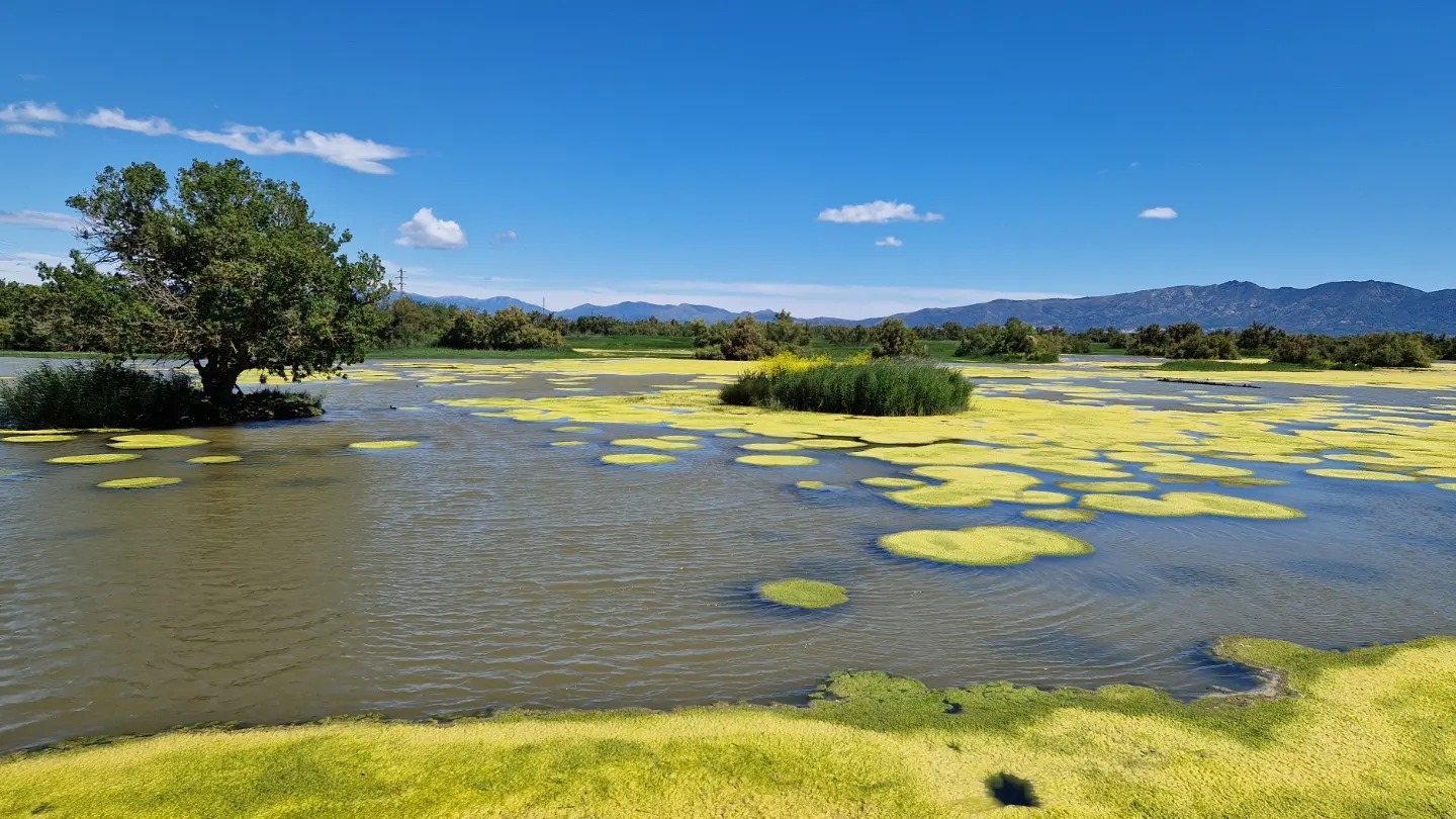 aiguamolls d’empordà