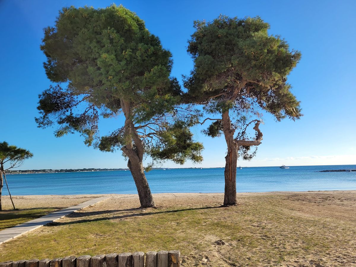 aire marine protégée de porto cesareo