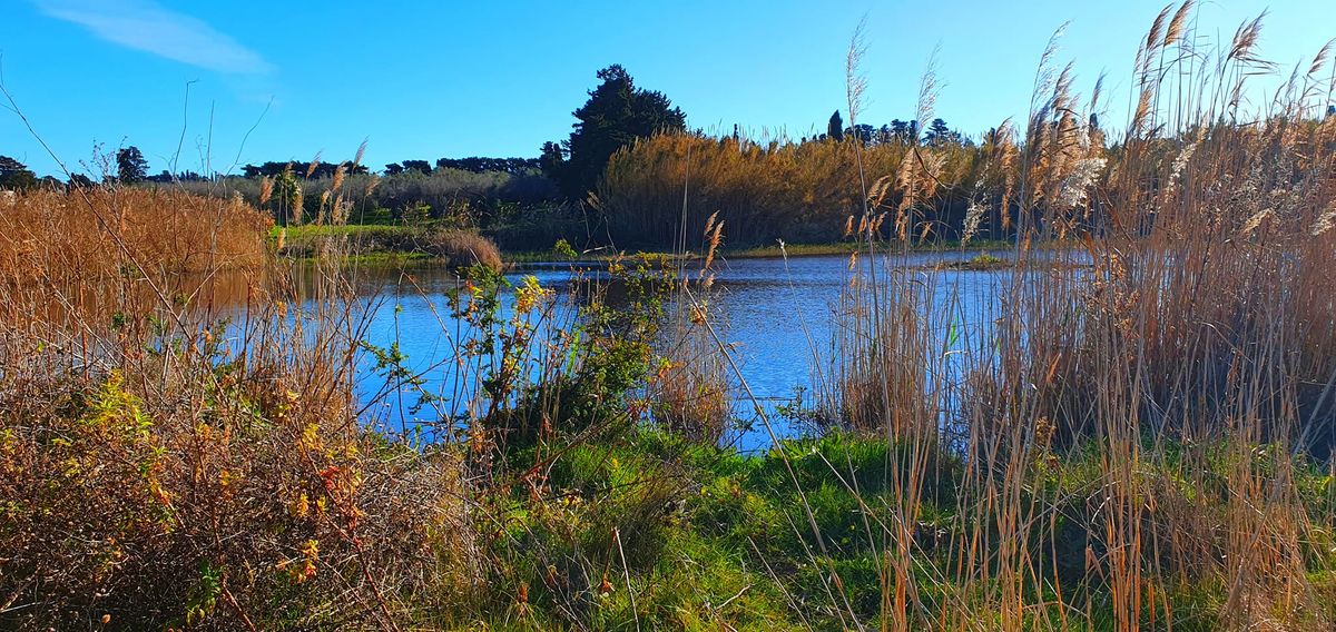 alimini lacs
