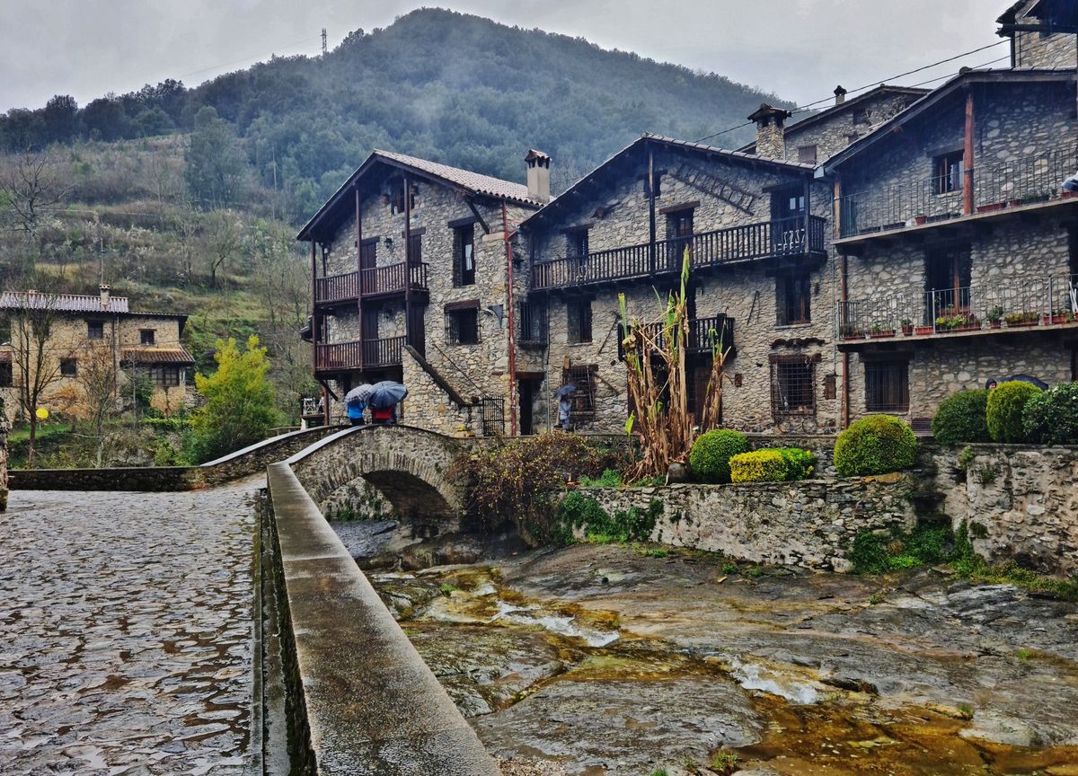 beget