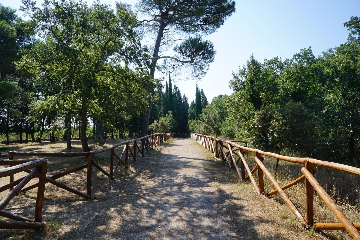 bosco selva di alberobello
