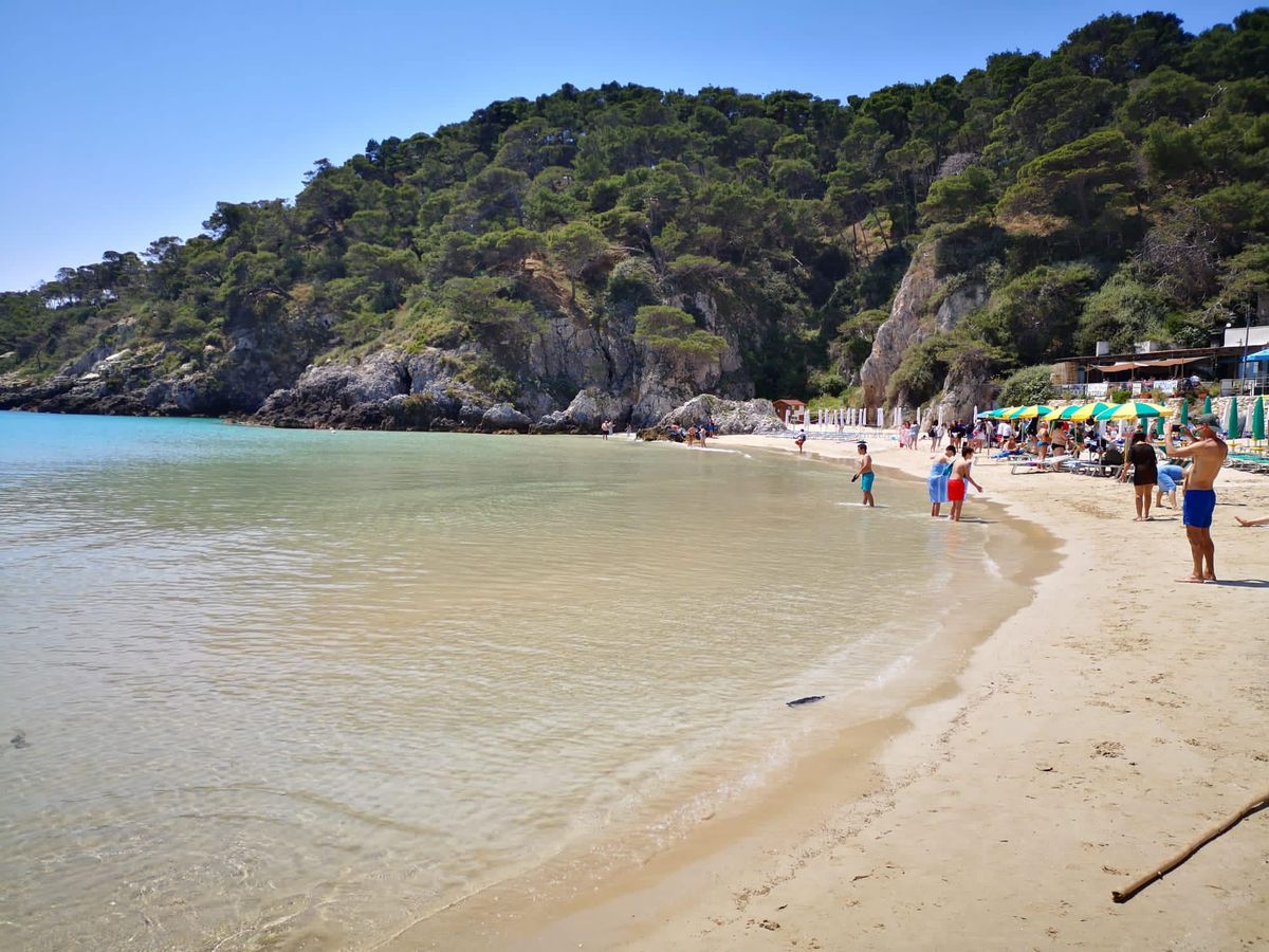 cala delle arene