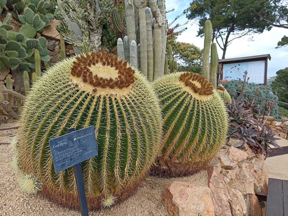 jardines de cap roig