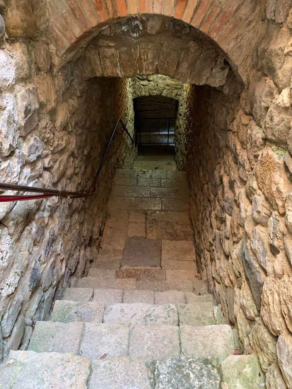 mikveh 1