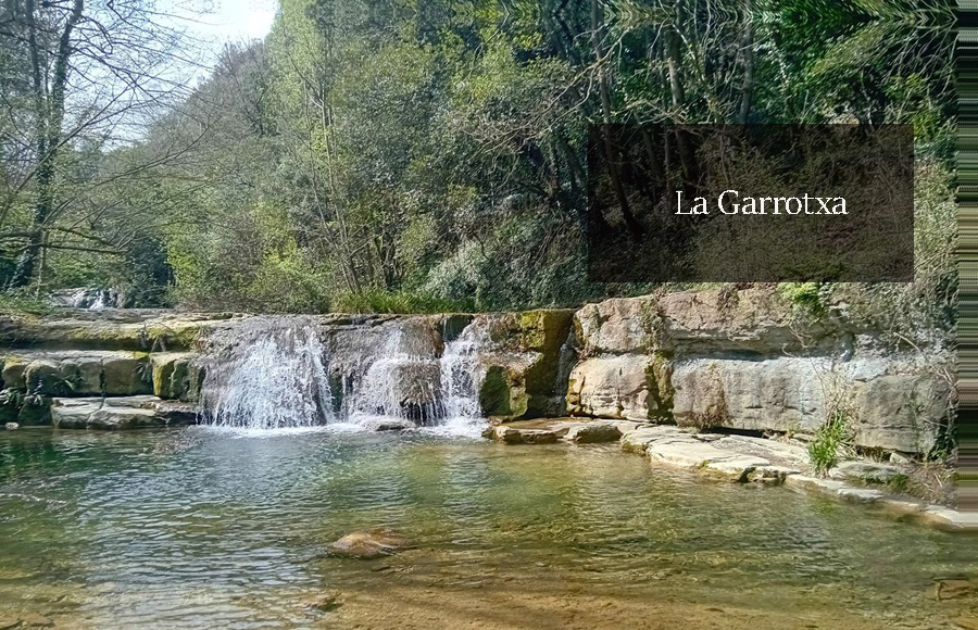 entete garrotxa