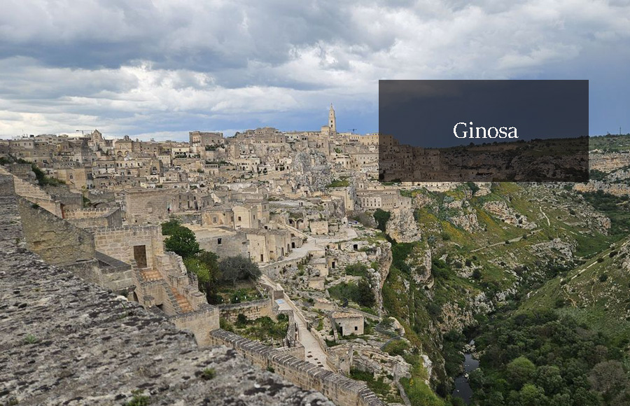 entete ginosa