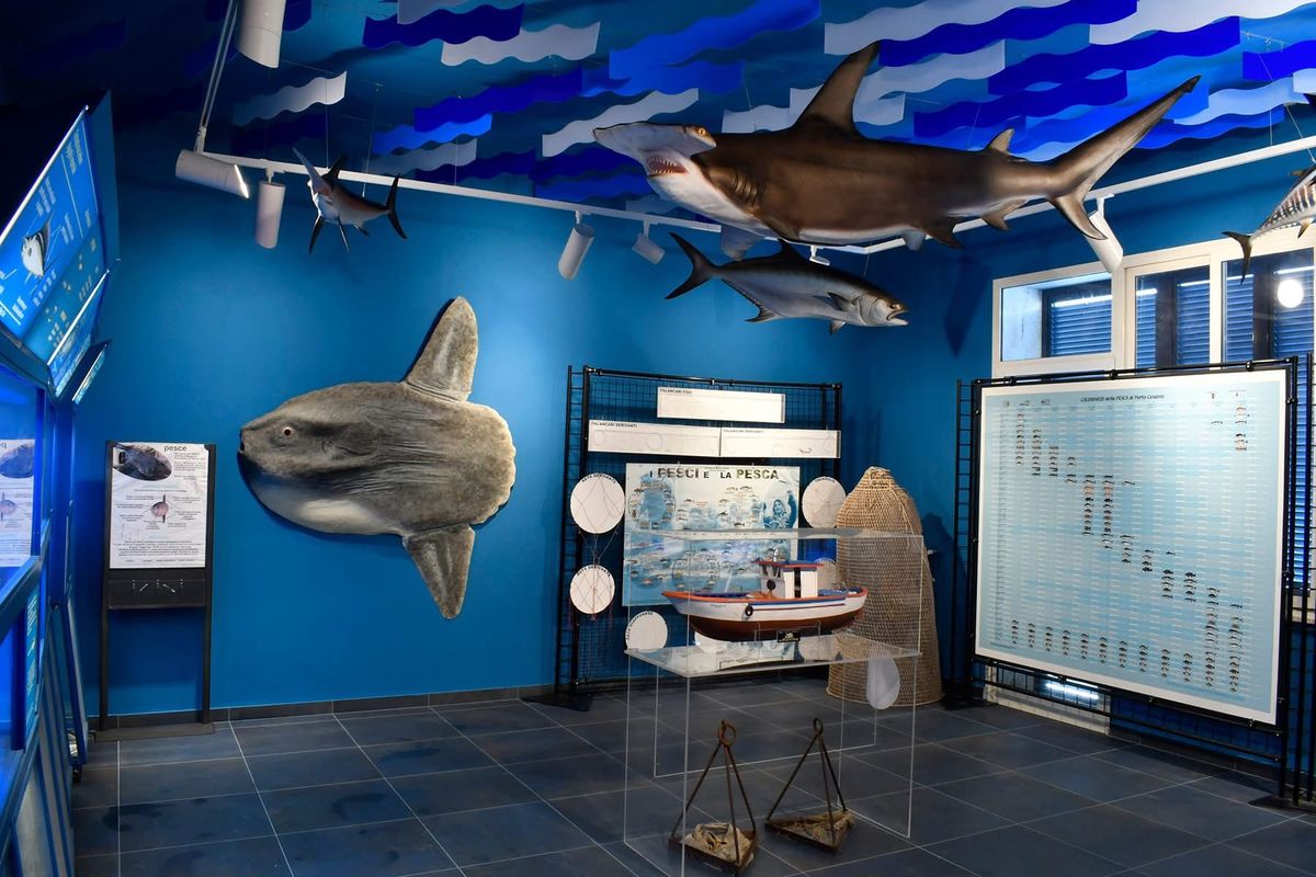 musee biologie marine