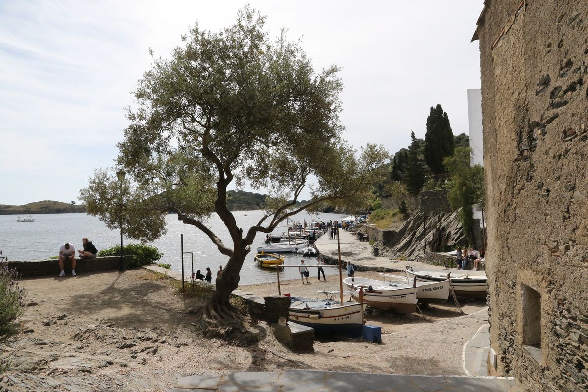 port lligat