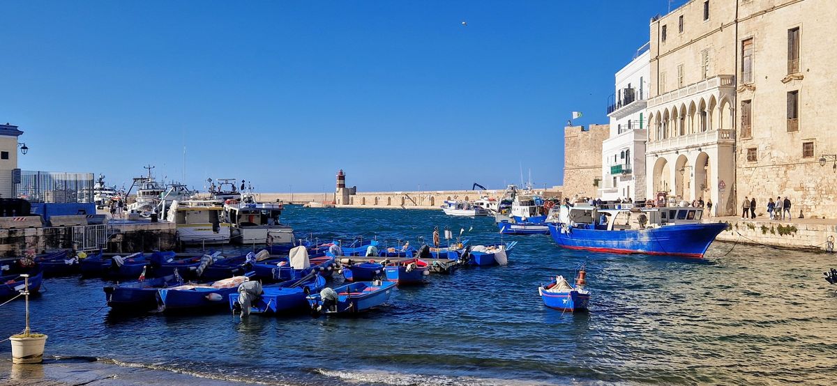 port monopoli