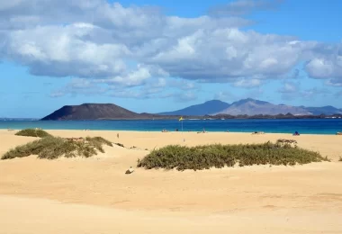 corralejo canaries