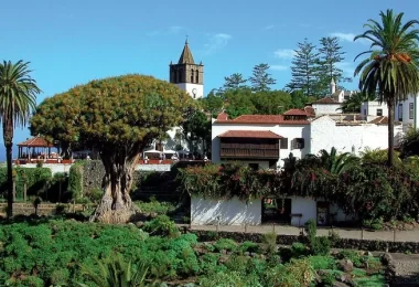 icod de los vinos canaries