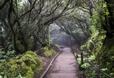 parc rural anaga canaries